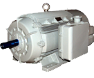 CG Energy Efficient IE2 / IE3 Motors