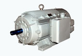 Crompton Greaves Electric Motor Distributors in Mumbai