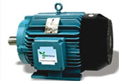 Crompton Greaves Energy Efficient Motors