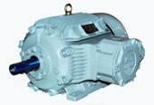 Crompton Greaves Flame Proof Motors