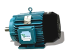 Crompton Greaves Energy Efficient Motors